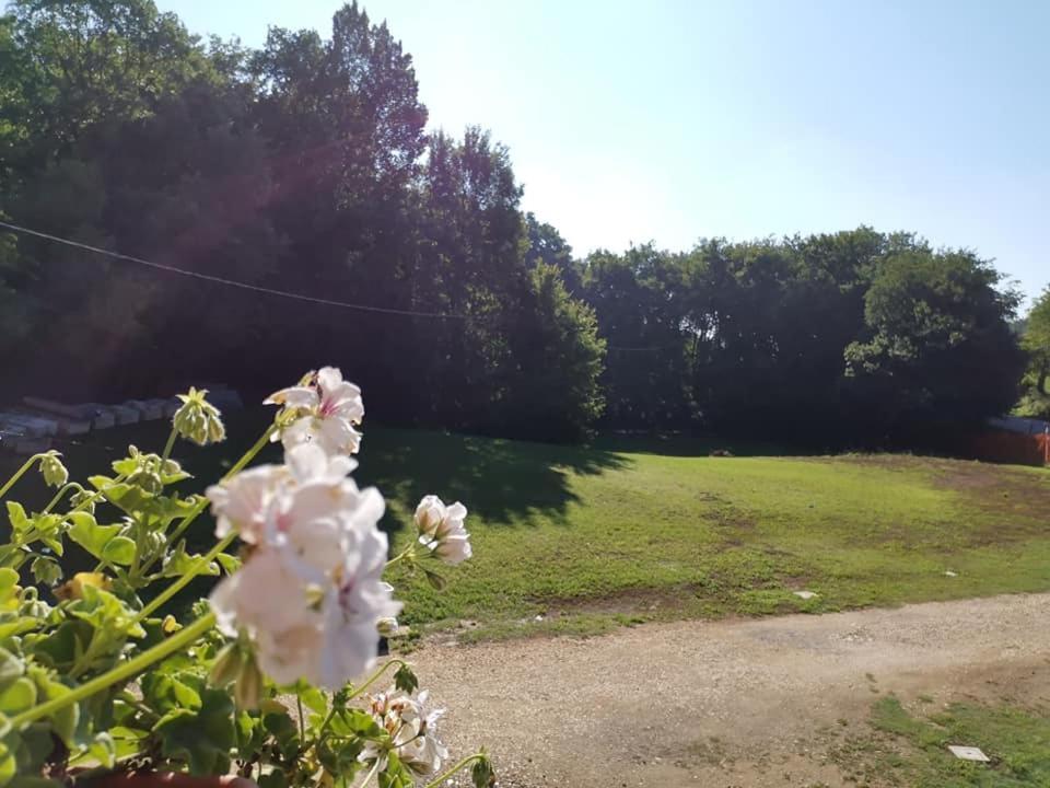 Villa Colle Nanto Buitenkant foto